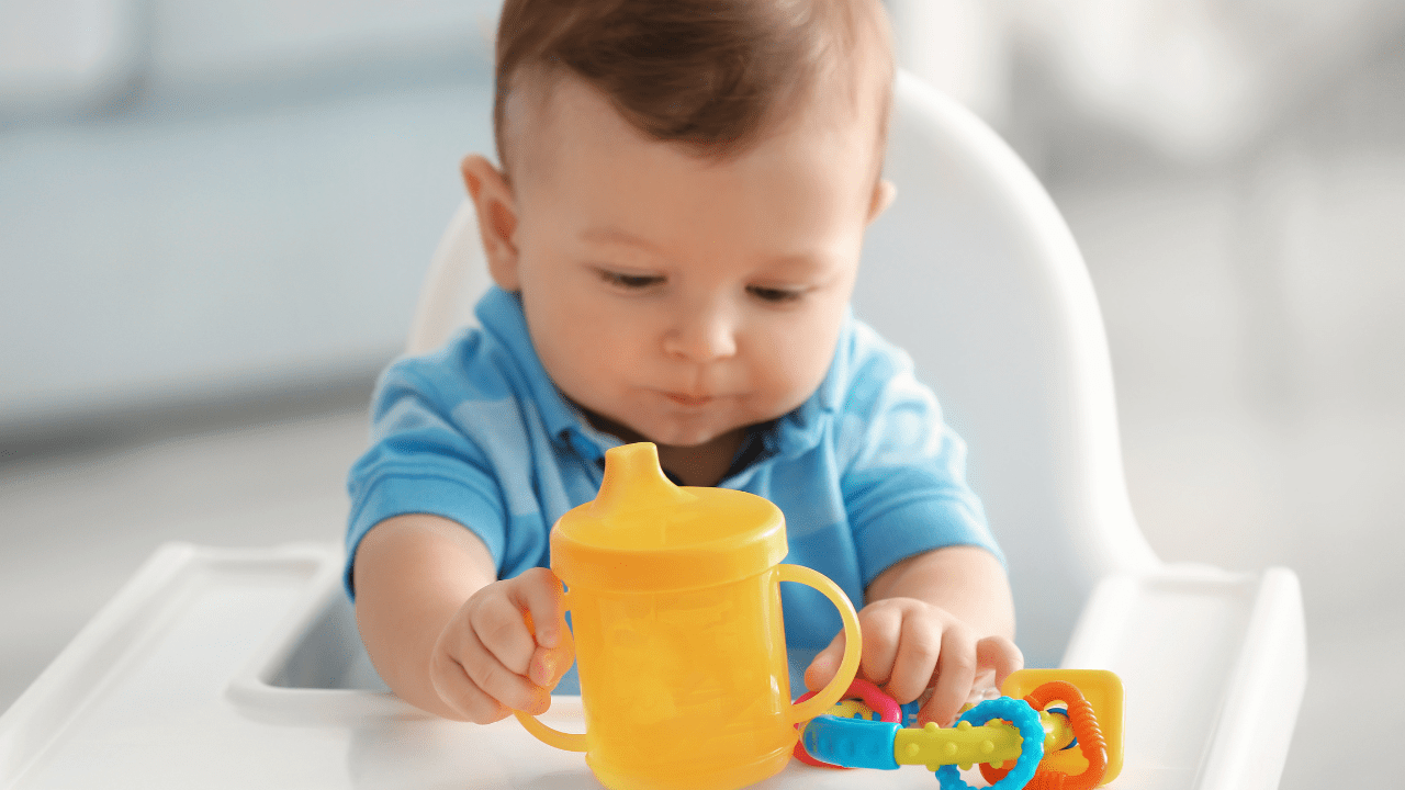 Bisphenol A in Baby's Sippy Cup
